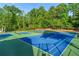 Well-maintained tennis courts for active residents, surrounded by green trees, offer a great way to stay fit at 971 Reap Lane, Lawrenceville, GA 30043