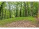 A lush, green backyard with towering trees and a gentle slope at 5560 Pilgrim Point Ext, Cumming, GA 30041