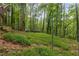 A tranquil wooded backyard provides a serene and private outdoor space at 5560 Pilgrim Point Ext, Cumming, GA 30041