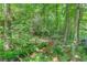 Secluded wooded area with a stream, offering a tranquil and natural setting at 5960 Bridge Stone Ct, Cumming, GA 30028