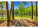 Beautiful lake view with a stone walkway leading to the water at 2334 Fisher Dr, Loganville, GA 30052