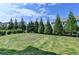 Well-maintained backyard with lush green grass and privacy trees offers a peaceful retreat at 7575 Old Camp Lndg, Cumming, GA 30040