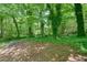 A view of lush backyard foliage and trees at 2900 Country Nw Ct, Kennesaw, GA 30152