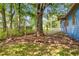 Fenced backyard with trees; potential for gardening and outdoor activities at 483 Glen Terrace Rd, Auburn, GA 30011
