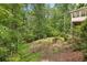 Sloping backyard with a wooden fence, mature trees, and lush greenery at 200 River Pass Trl, Atlanta, GA 30350