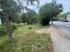 Picture of grassy front yard along the road at 1889 Browns Mill Se Rd, Atlanta, GA 30315