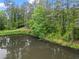 Scenic pond surrounded by lush greenery, creating a peaceful and natural setting at 1214 Lake Pointe Cir, Roswell, GA 30075