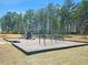 Neighborhood playground with swings and slides surrounded by grass and tall trees in the background at 4575 Birch Way, Loganville, GA 30052