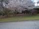 Charming home with flowering trees in the front yard and a well-maintained lawn at 3315 Canterbury Trl, Rex, GA 30273