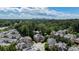 Aerial view of community, lush greenery and skyline in the distance at 1720 Buckhead Valley Ne Ln, Atlanta, GA 30324