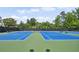 Well-maintained tennis courts with lush green surroundings, perfect for recreational play at 320 Harvest View Ter, Woodstock, GA 30188