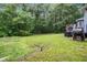 Overgrown backyard featuring green grass and mature trees at 295 N Fayette Dr, Fayetteville, GA 30214