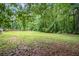 Expansive backyard area featuring green grass and surrounded by a perimeter fence and mature trees at 295 N Fayette Dr, Fayetteville, GA 30214
