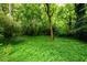 Lush backyard setting featuring vibrant greenery and serene wooded surroundings at 2804 Dunnington Cir, Chamblee, GA 30341