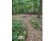 Backyard with a fire pit and wooded surroundings at 515 Rosedown Way, Lawrenceville, GA 30043