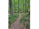 Pathway leading through backyard landscape at 515 Rosedown Way, Lawrenceville, GA 30043