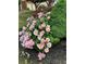 Landscaped yard featuring flower bed filled with colorful flowers and mulch at 515 Rosedown Way, Lawrenceville, GA 30043
