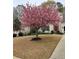 Charming home featuring a well-maintained yard and a beautiful flowering tree at 515 Rosedown Way, Lawrenceville, GA 30043
