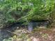 A flowing creek runs through a lush green landscape, adding to the community's charm at 2826 Staunton Dr, Duluth, GA 30097