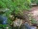 A flowing creek meanders through the community, surrounded by green foliage and large rocks at 2826 Staunton Dr, Duluth, GA 30097