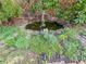 Close up view of backyard pond with fountain and lush garden surround at 2826 Staunton Dr, Duluth, GA 30097