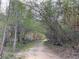 A serene walking trail winds through lush trees and greenery, perfect for outdoor enjoyment at 2826 Staunton Dr, Duluth, GA 30097