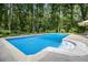 Sparkling blue pool with a tanning ledge and concrete surround, set against a backdrop of mature trees at 5357 Highway 81, Loganville, GA 30052