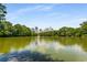 Scenic lake view surrounded by lush trees and the Atlanta skyline, offering a serene and picturesque environment at 541 Greenwood Ne Ave, Atlanta, GA 30308