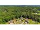 Aerial view of a charming home surrounded by lush greenery and mature trees in a beautiful neighborhood at 104 Meadow View Trl, Canton, GA 30115