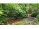 Calm, shallow creek surrounded by ferns and plants in a serene wooded setting at 104 Meadow View Trl, Canton, GA 30115