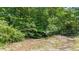 Scenic view of land lot partially covered by trees and vegetation, creating natural beauty at 104 Meadow View Trl, Canton, GA 30115