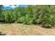 Expansive cleared land with mature trees, ideal for building a home or recreation at 104 Meadow View Trl, Canton, GA 30115