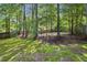 A wooded backyard with grass, moss, and mature trees, enclosed by a wooden fence at 3298 Robinson Oaks Ne Way, Marietta, GA 30062