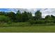 Lush green backyard with mature trees, providing a serene and private outdoor space at 2962 Girard Ln, Duluth, GA 30097