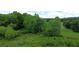 Expansive backyard with vibrant greenery, perfect for outdoor activities and enjoying nature at 2962 Girard Ln, Duluth, GA 30097