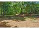 Large wooded backyard offering shade and privacy at 3380 Canon Bay Dr, Cumming, GA 30041