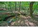 Scenic view of a gentle creek flowing through a lush, wooded area, highlighting the property's natural beauty at 3380 Canon Bay Dr, Cumming, GA 30041