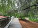Serene driveway lined with lush trees, leading to a property with privacy and natural beauty at 139 Grandmar Chase, Canton, GA 30115