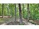 Wooded backyard with mature trees, natural landscaping, and a trail at 3445 Huntington Ct, Douglasville, GA 30134