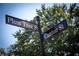 Street sign at the corner of Plum Tree Street and Canton Street, on a sunny day with blue skies at 385 Windy Pines Trl, Roswell, GA 30075
