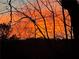 Dramatic sunset scenery silhouetted by bare trees, offering a tranquil view and striking contrast at 385 Windy Pines Trl, Roswell, GA 30075