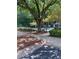 Community pool area through a wrought iron fence with lush green trees and landscaping surrounding the pool at 6449 Pinebark Way, Morrow, GA 30260