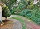 Spacious backyard with ample greenery, offering privacy and a serene outdoor space at 119 Michelle Dr, Mcdonough, GA 30252