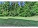 View of lush green backyard bordered by mature trees at 4610 Point Rock Dr, Buford, GA 30519