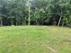 Backyard featuring a wide open grassy lawn at 3014 Echols Rd, Cumming, GA 30041