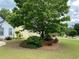 Home's lovely landscaped front yard with mature tree offering nice shade and curb appeal at 5298 Autumn Run Dr, Powder Springs, GA 30127