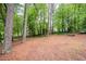 Spacious backyard featuring tall trees, natural landscaping, and a cleared area at 2445 Deerfield Nw Dr, Kennesaw, GA 30144