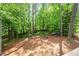 Lush backyard featuring tall trees, natural landscaping, and a small wooden park bench at 2445 Deerfield Nw Dr, Kennesaw, GA 30144