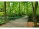 A serene wooded path with a small footbridge in a tranquil setting at 7455 Cordery Rd, Cumming, GA 30040