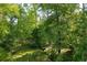 Lush green backyard featuring mature trees and a serene landscape, perfect for nature lovers at 3705 Rolling Creek Dr, Buford, GA 30519